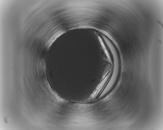 X0000099381289200805291121