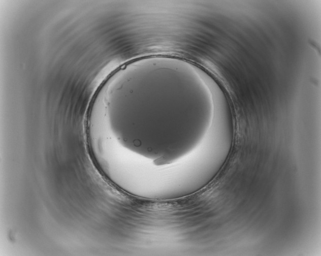 X0000099381291200805291121