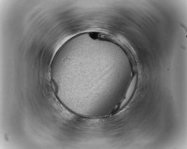 X0000099381292200805291121