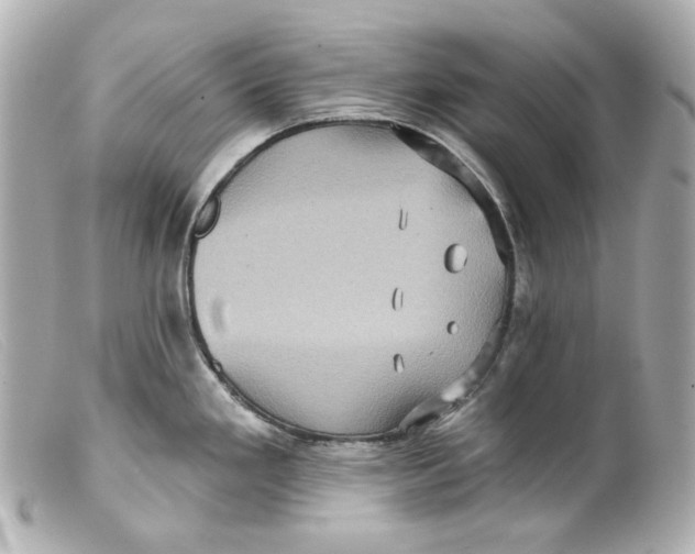 X0000099381293200805291121