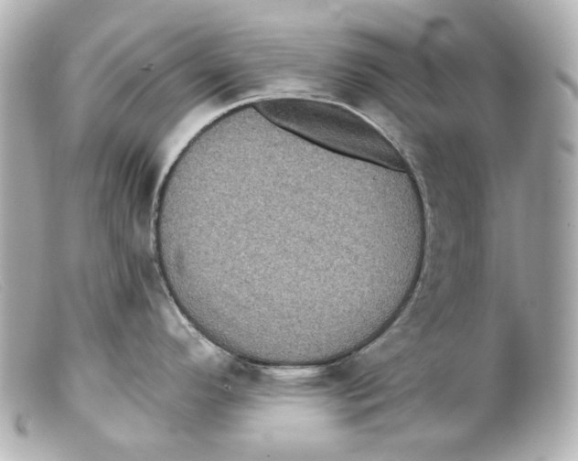 X0000099381296200805291121