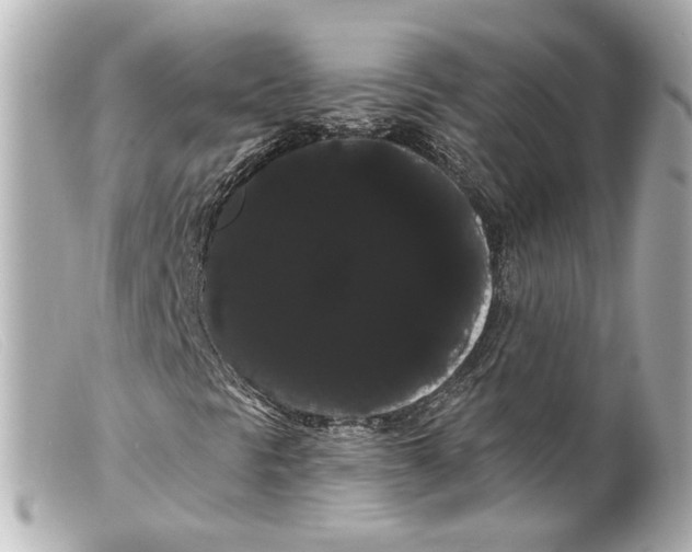 X0000099381297200805291120