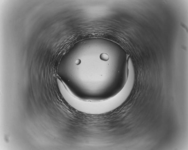 X0000099381298200805291120