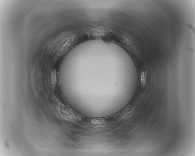 X0000099381299200805291120