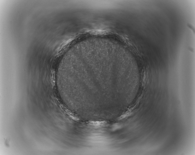 X0000099381301200805291120