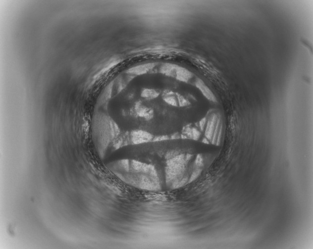 X0000099381302200805291120