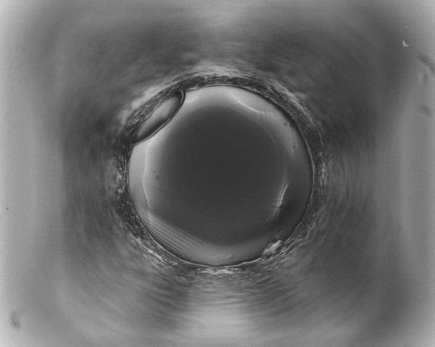 X0000099381303200805291120