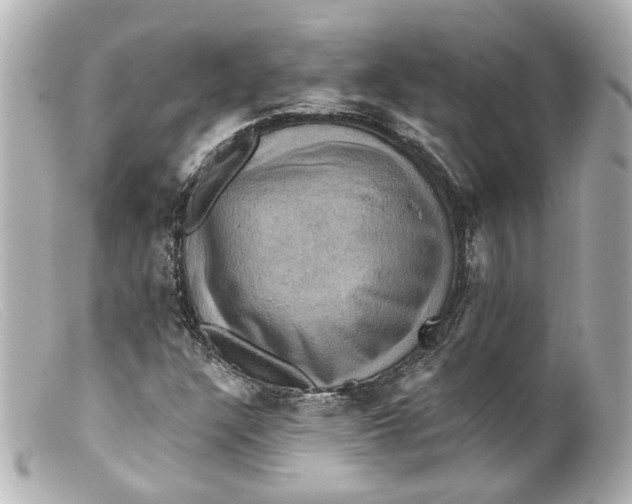 X0000099381304200805291120