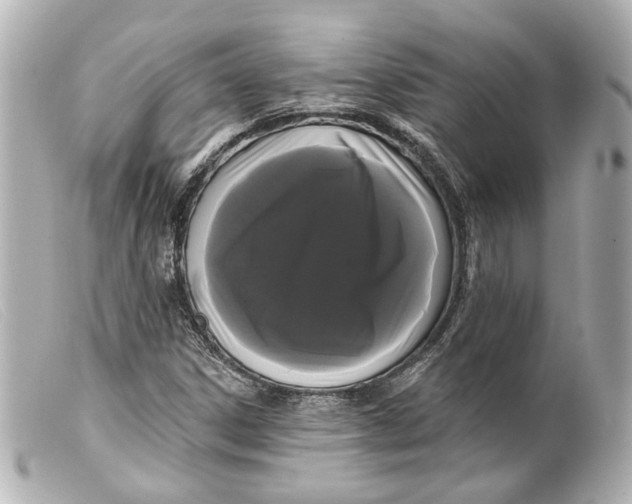 X0000099381306200805291120