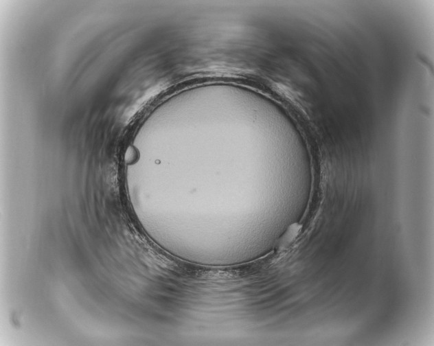 X0000099381307200805291120