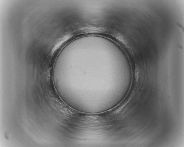 X0000099381309200805291120