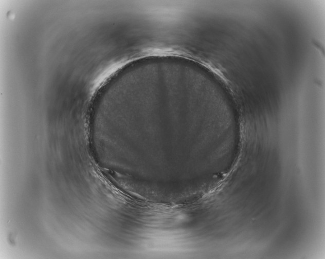 X0000099381311200805291120