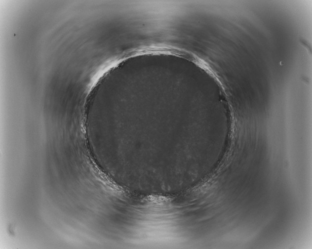 X0000099381312200805291120