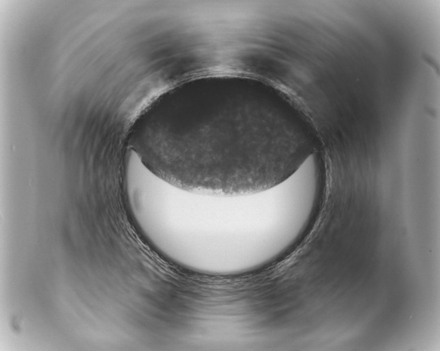 X0000099381314200805291120