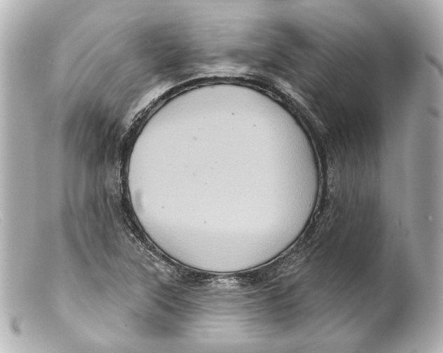 X0000099381315200805291120