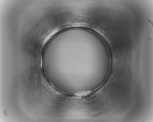 X0000099381317200805291120