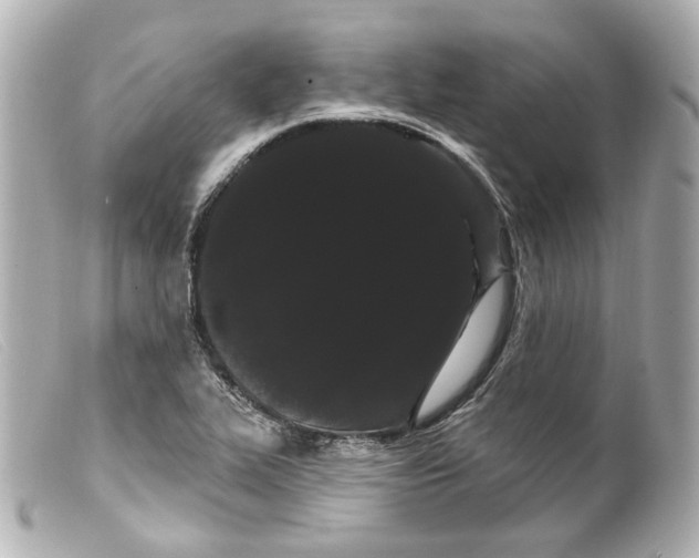 X0000099381319200805291120