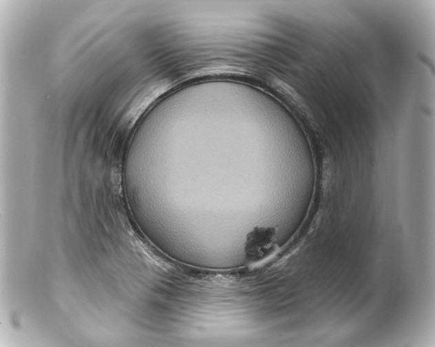 X0000099381321200805291120