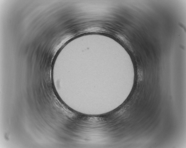 X0000099381322200805291120