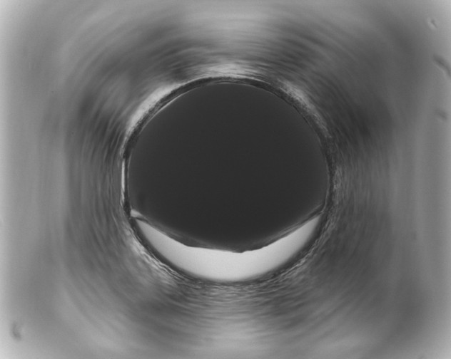 X0000099381323200805291120