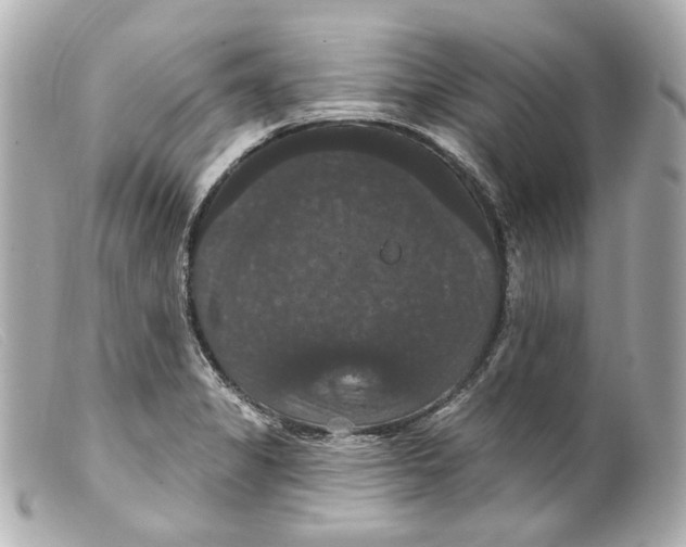 X0000099381325200805291120