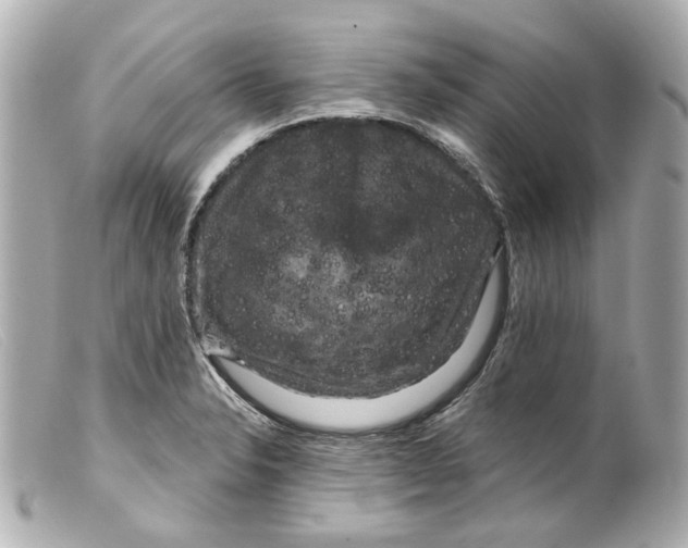 X0000099381326200805291120