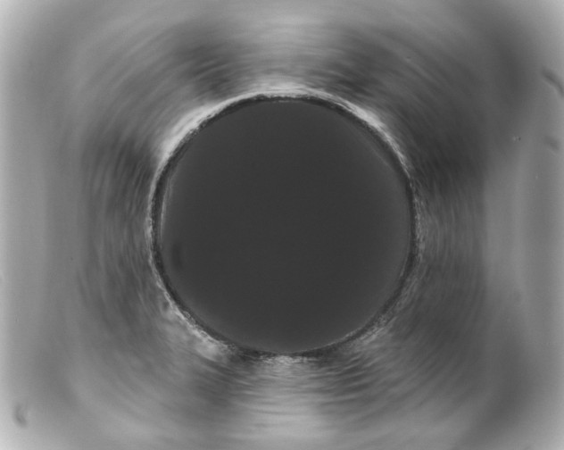 X0000099381327200805291120