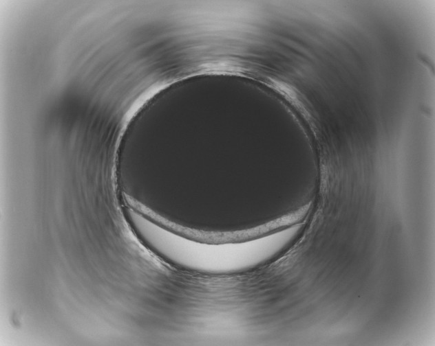 X0000099381331200805291120