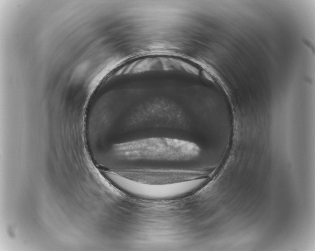 X0000099381333200805291120