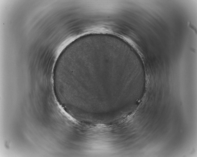 X0000099381335200805291120