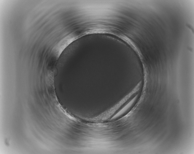 X0000099381337200805291120