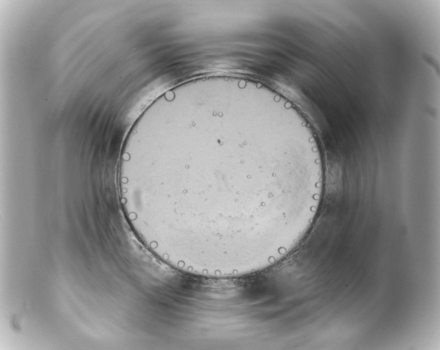 X0000099381338200805291120