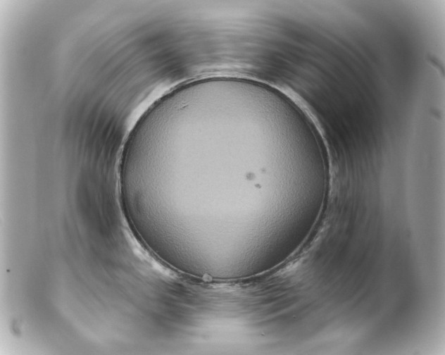 X0000099381341200805291120