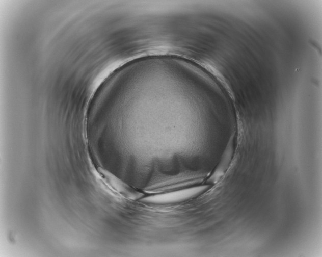 X0000099381342200805291120