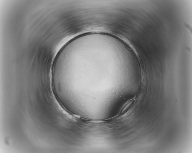 X0000099381343200805291121