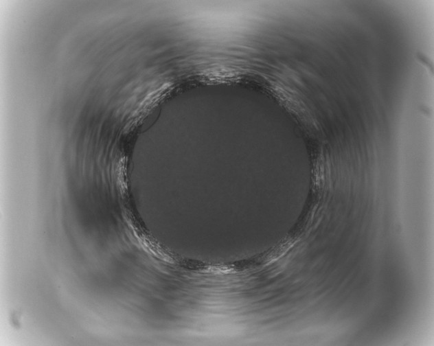 X0000099381346200805291120