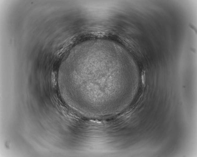 X0000099381347200805291120