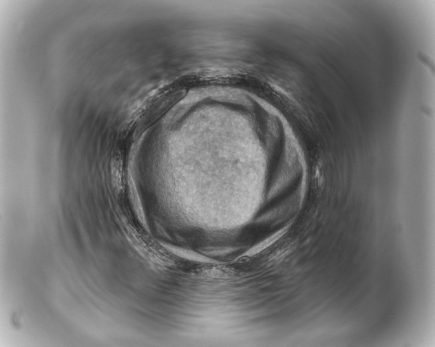 X0000099381348200805291120