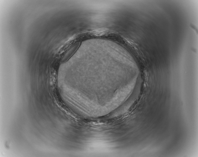 X0000099381349200805291120