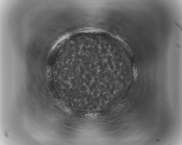 X0000099381351200805291120