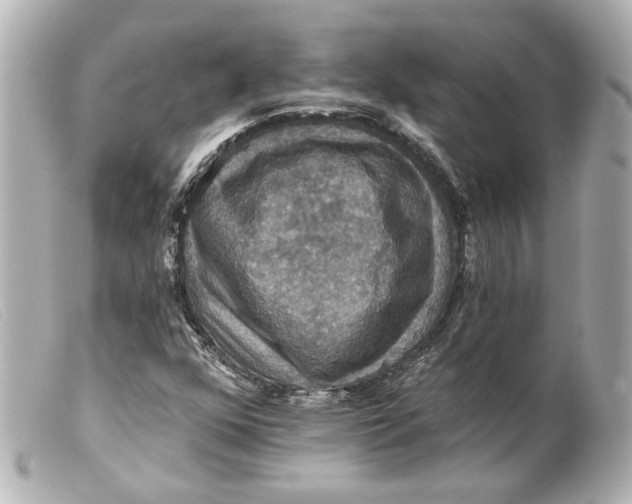 X0000099381352200805291120