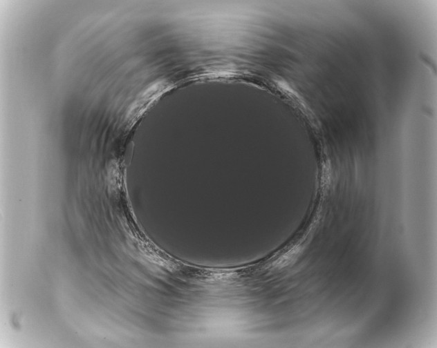 X0000099381353200805291120