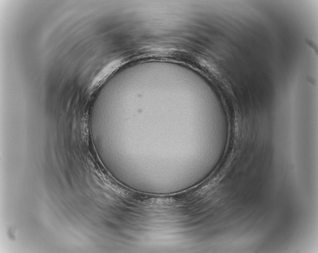 X0000099381354200805291120