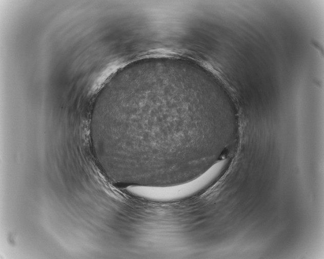 X0000099381355200805291120