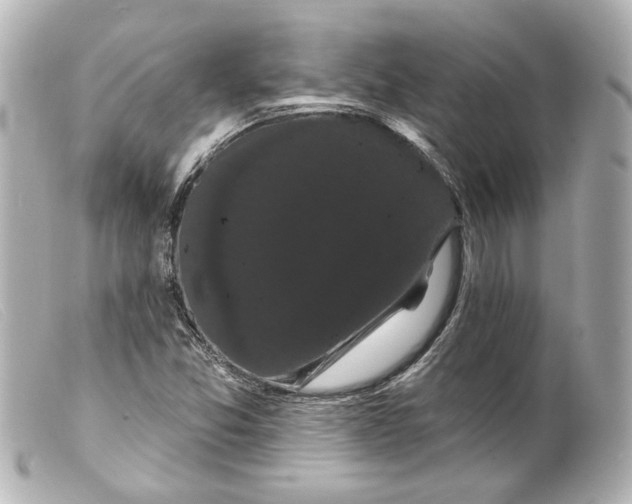 X0000099381357200805291120