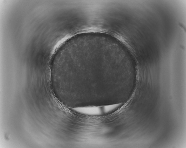 X0000099381358200805291120