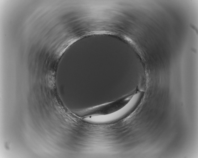 X0000099381361200805291120