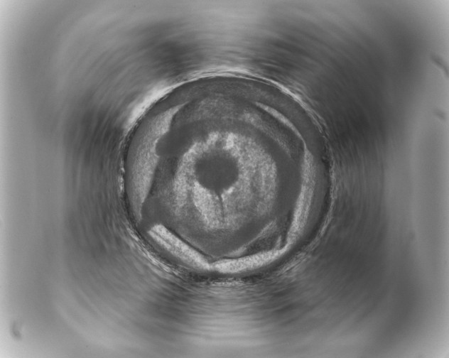 X0000099381363200805291120