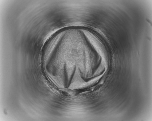 X0000099381364200805291120