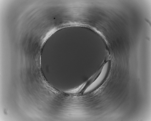 X0000099381365200805291120